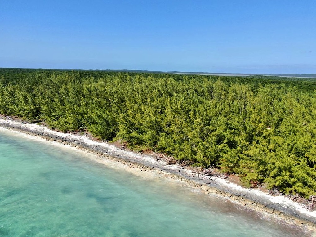 Beachfront Lot A, Port Howe, Cat Island Bahamas, Cat Island
